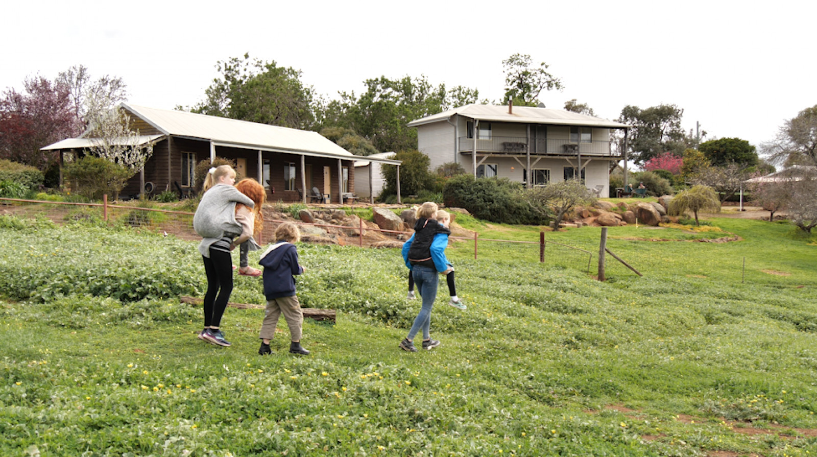 Springhill's Farmstay Logo