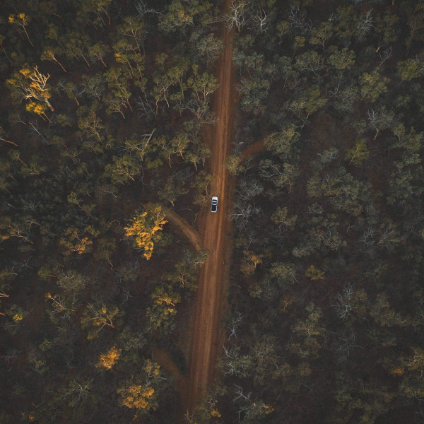 Dryandra Woodland