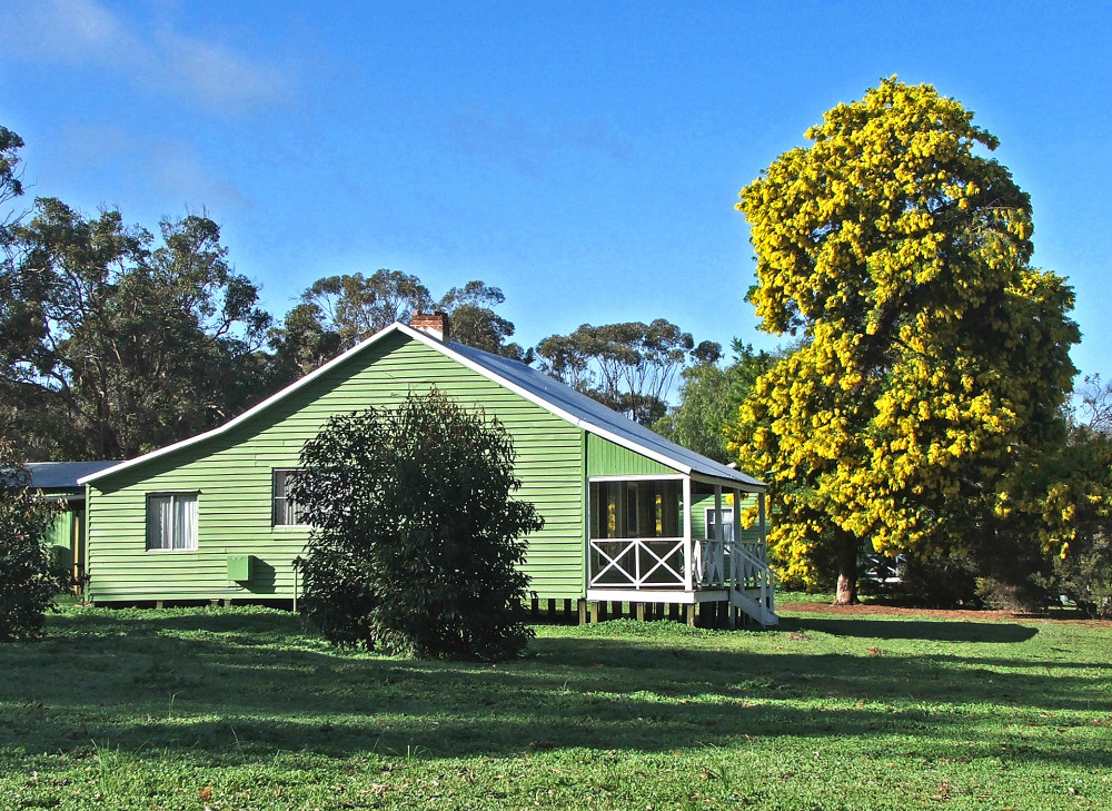 Lions Dryandra Woodland Village Logo