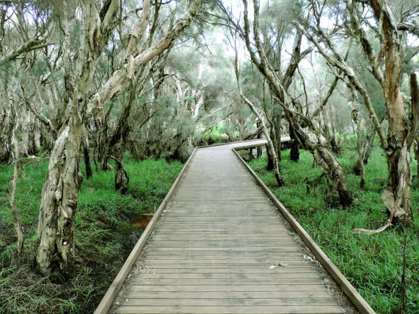 Ranford Pool Trail